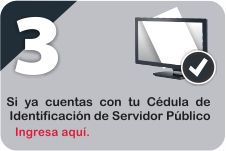 Ingresar al DeclaraNET