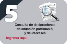 Consultar Declaración de Situación Patrimonial Pública
